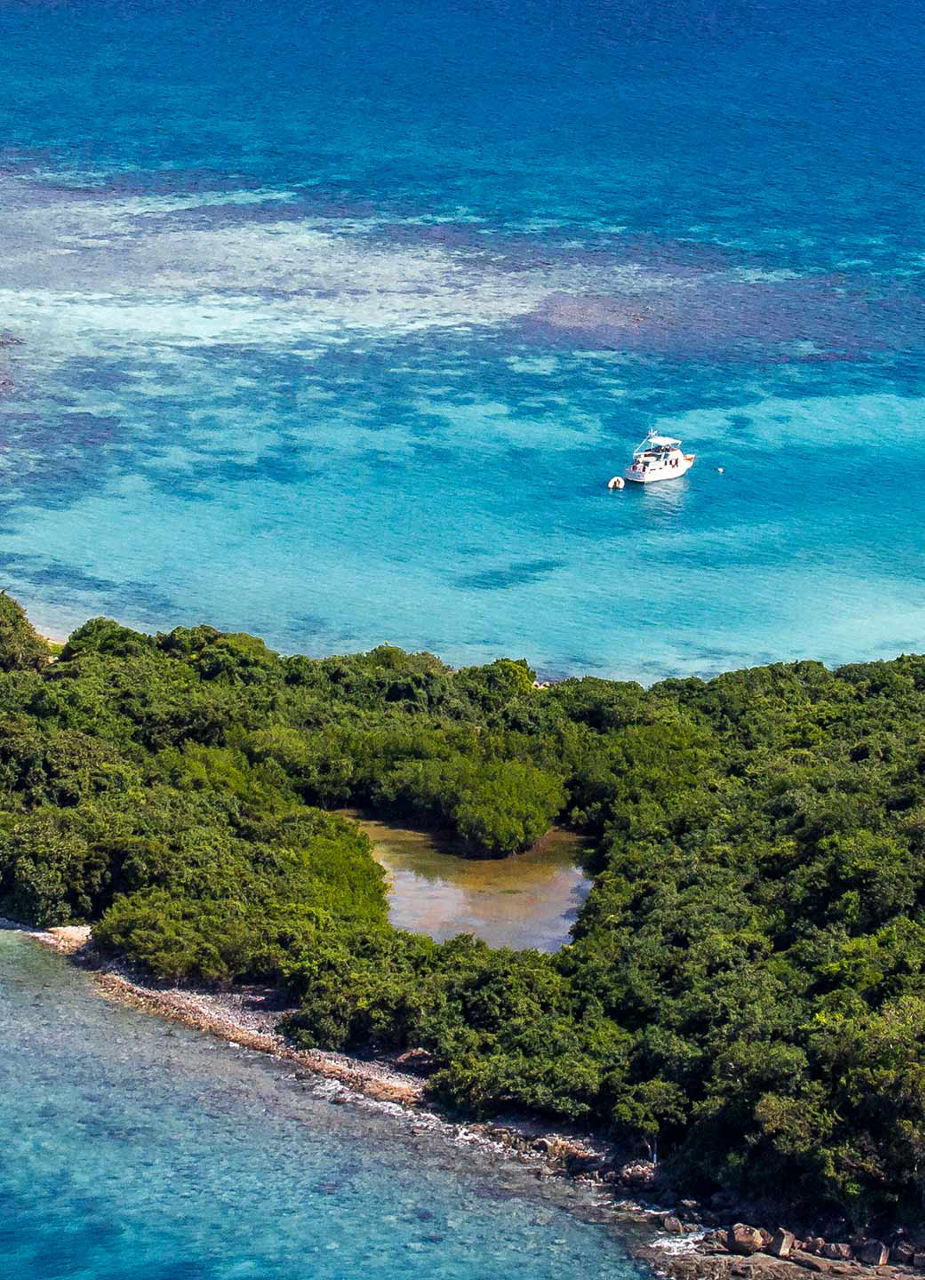 View over beach