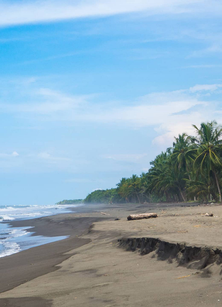 Pacuare Beach in Costa Rica