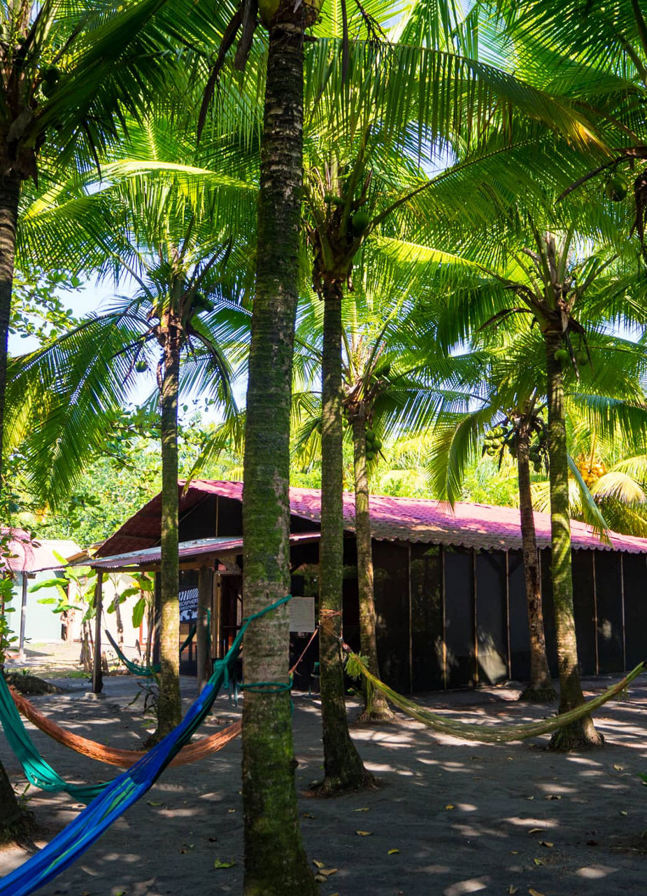 Volunteer house in Pacuare, Costa Rica