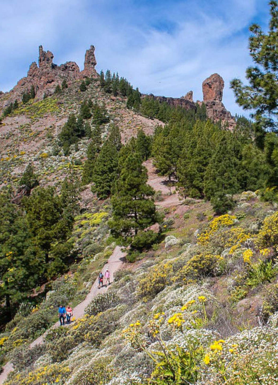 Hike to Roque Nublo