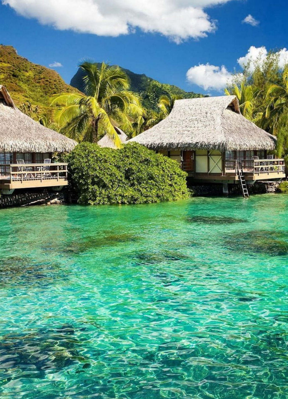 Die besten Strandhotels in Jamaika | Edelweiss