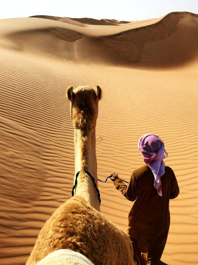 Camel and Herder