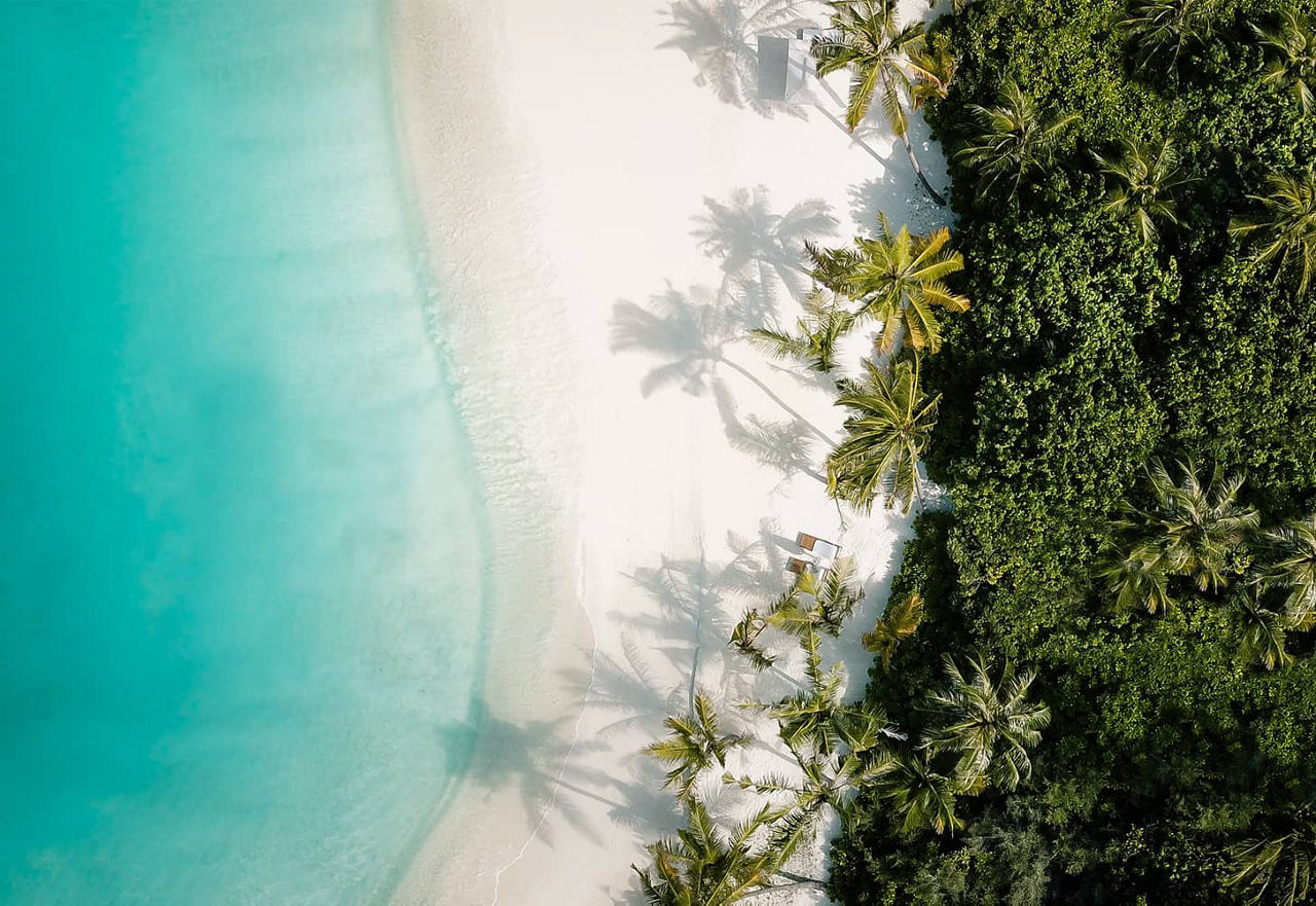 White beach with palm trees