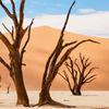 Windhoek