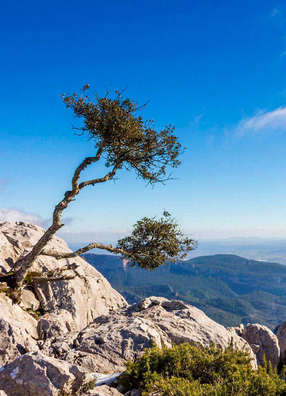 Tramuntana Mountains