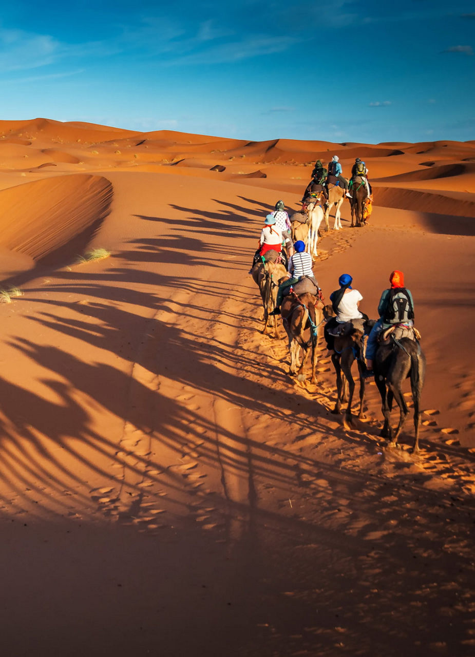 Riding Camels Through the Desert