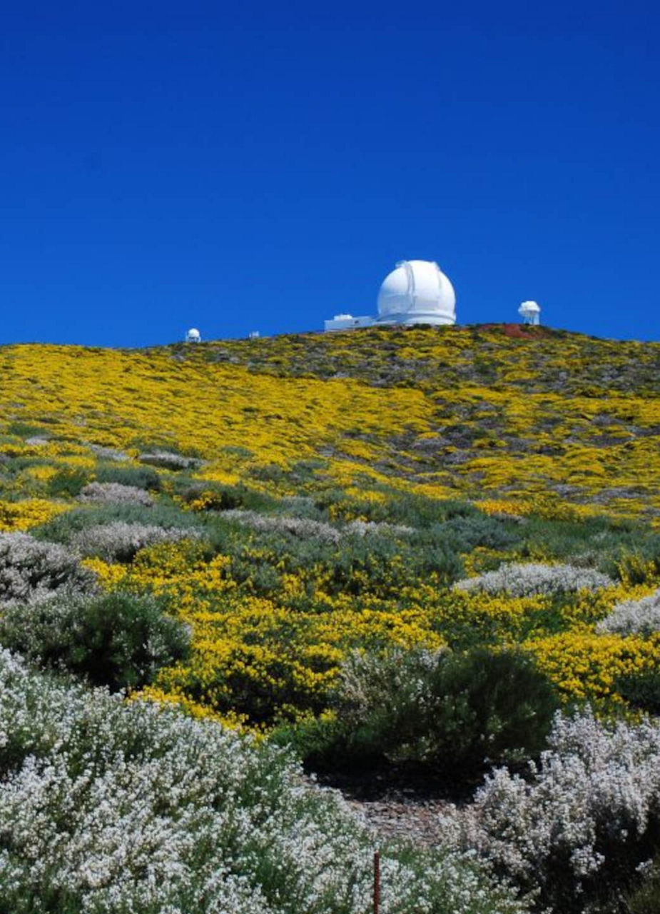 Observatory Roque de Los Muchachos