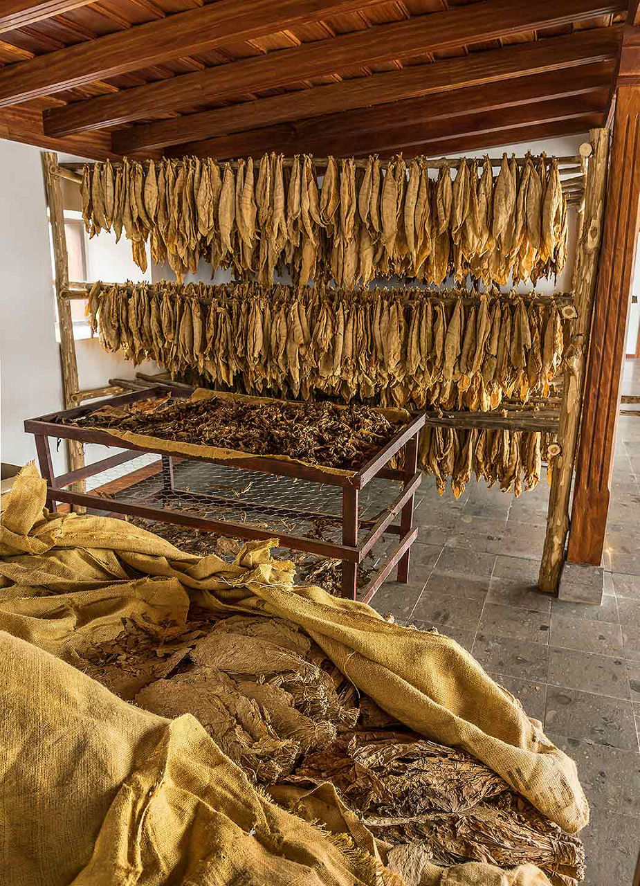 Inside Cigar Museum