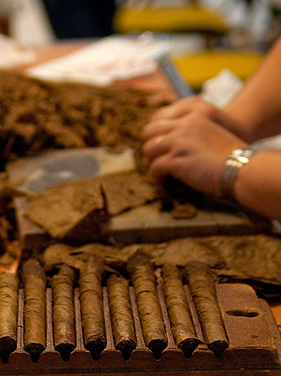 Woman rolling the cigars