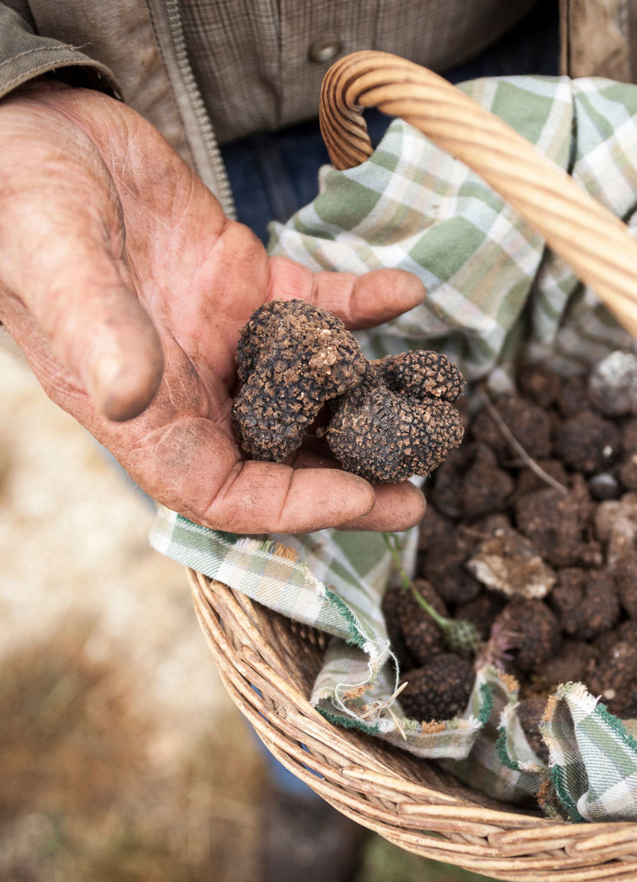 Truffles