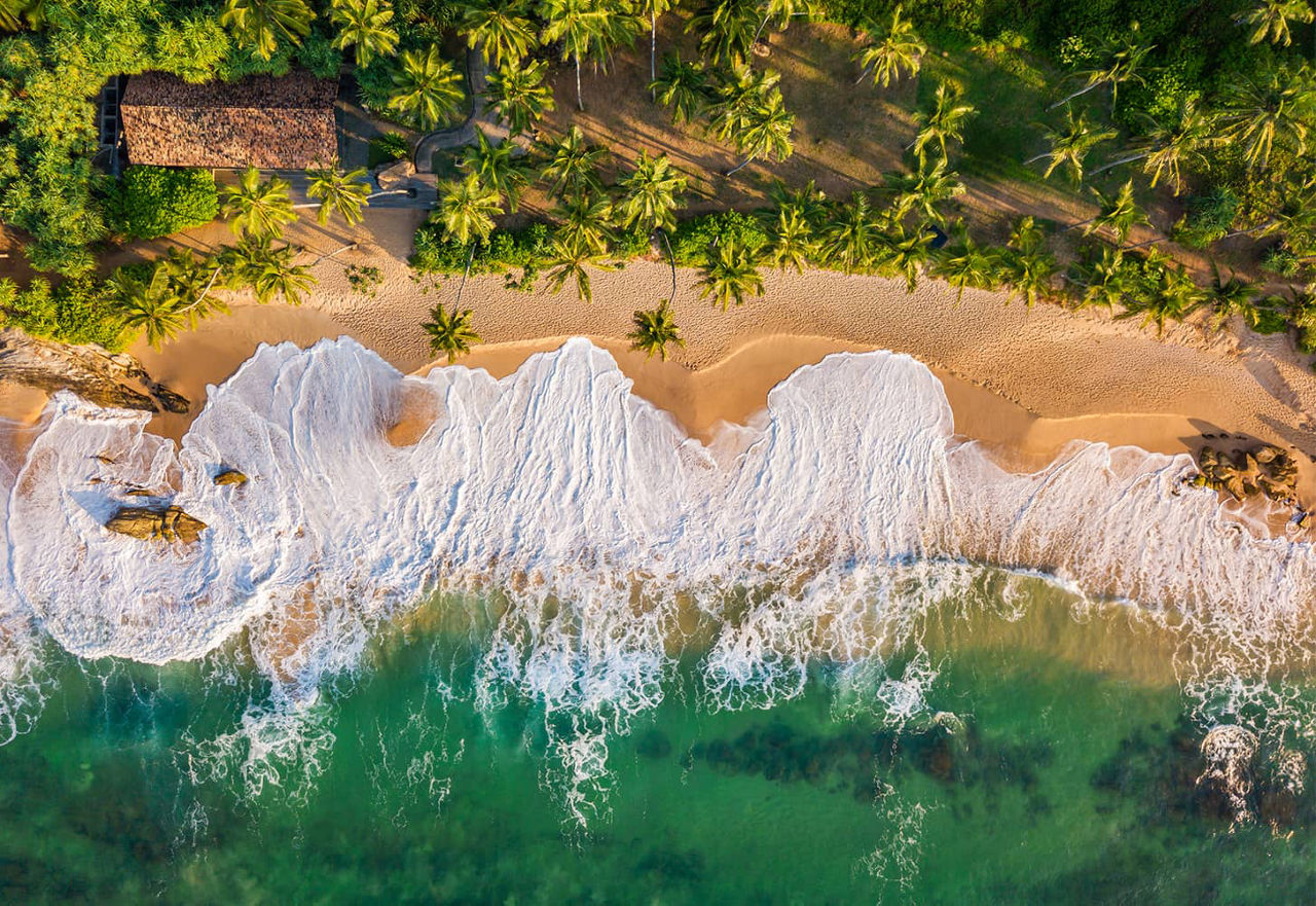 Vue aérienne d'une plage paradisiaque entourée de palmiers