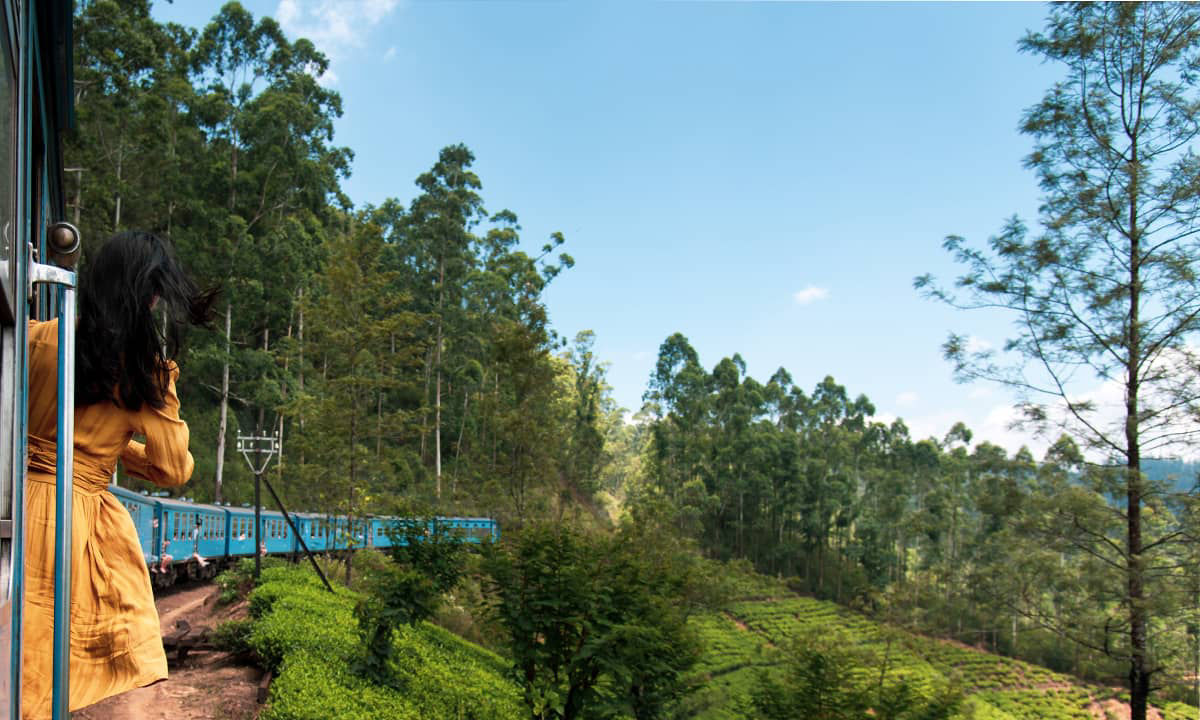 Le meilleur du Sri Lanka