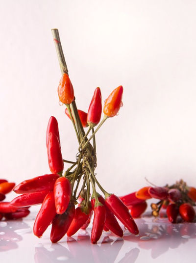 The Peperoncino small