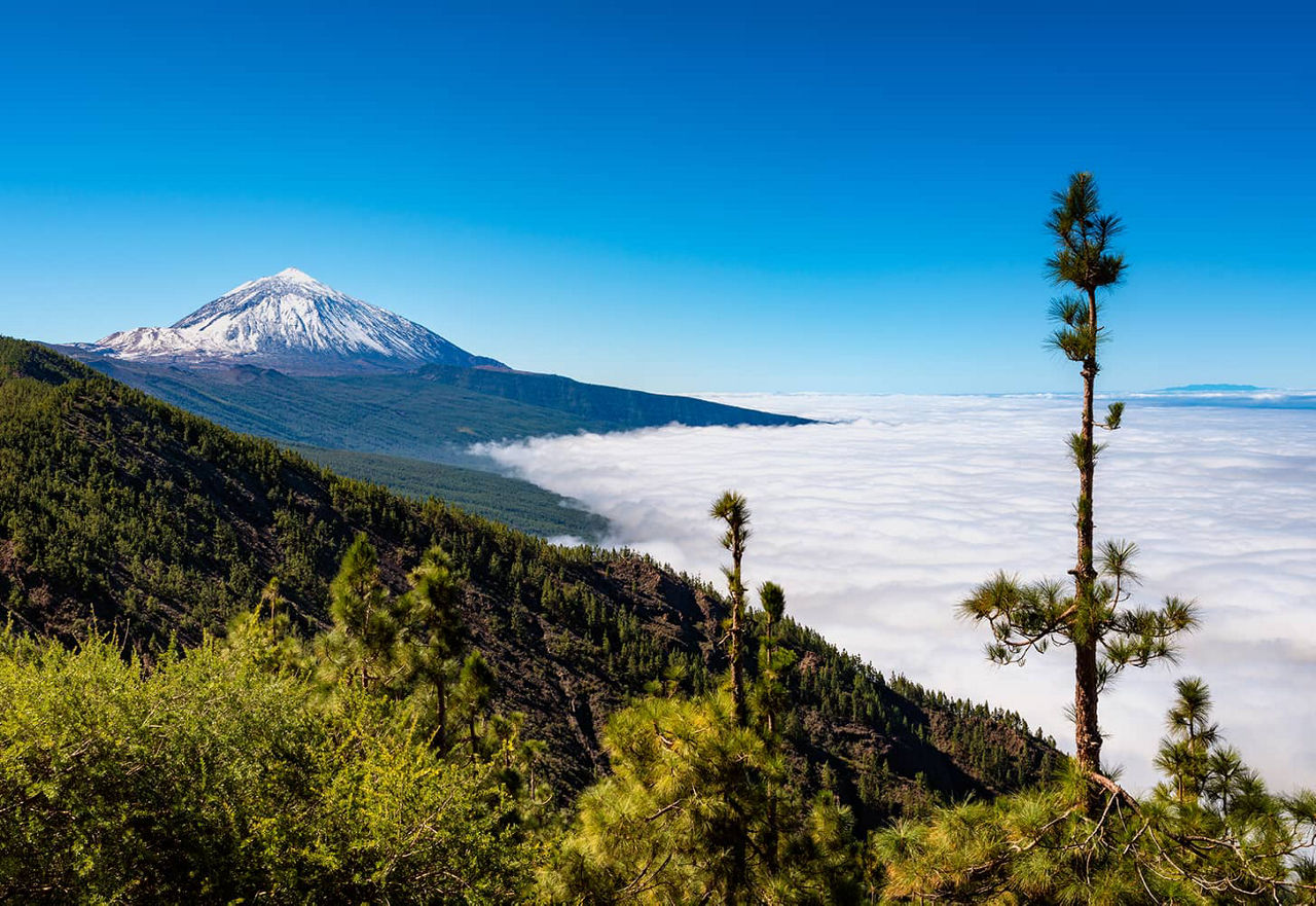 Pico del Teide