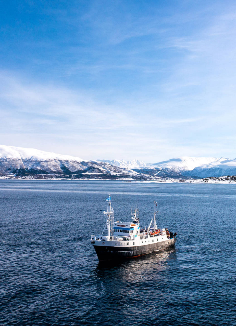 Fjord cruise