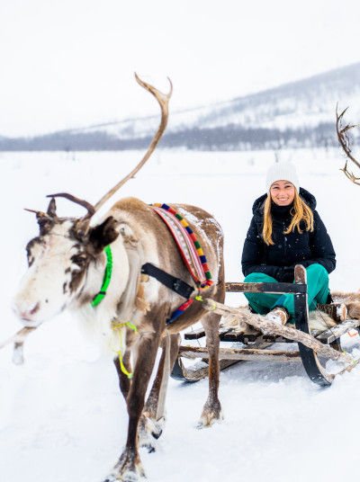 Reindeer sleigh