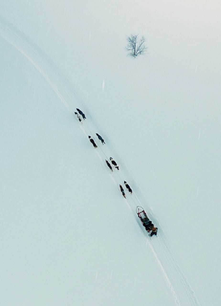 Tour en traîneau à chiens