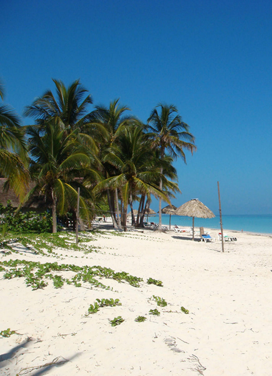 Cayo Levisa Beach