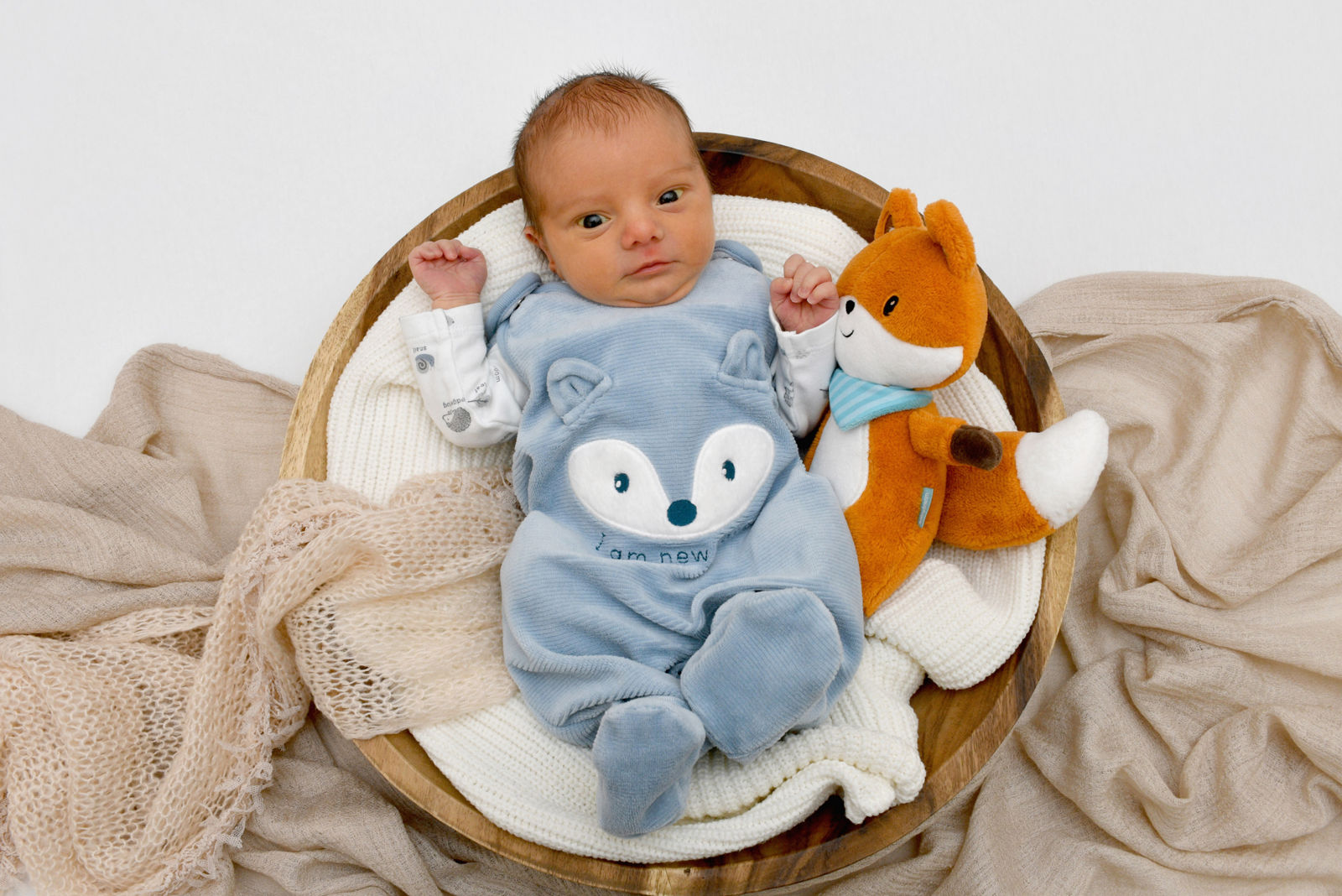 Fabian Raphael 