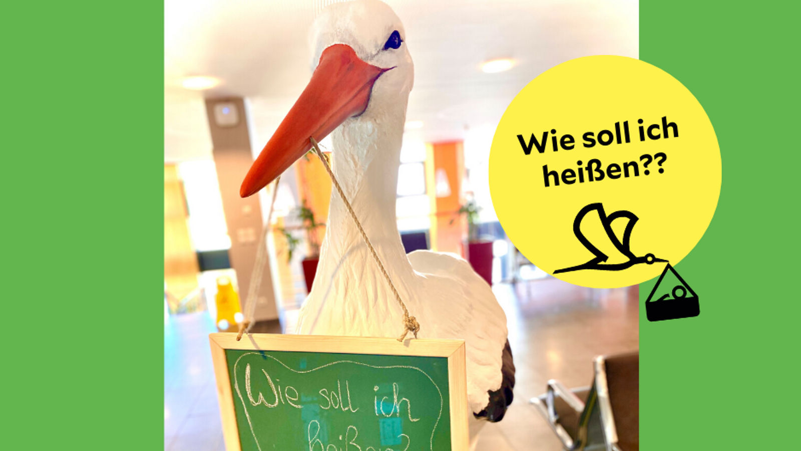 Wir suchen einen Namen für unseren Neuzugang in der Helios Klinik Cuxhaven 