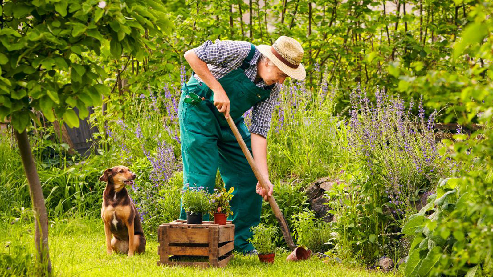 So schonen Sie Ihren Rücken bei der Gartenarbeit