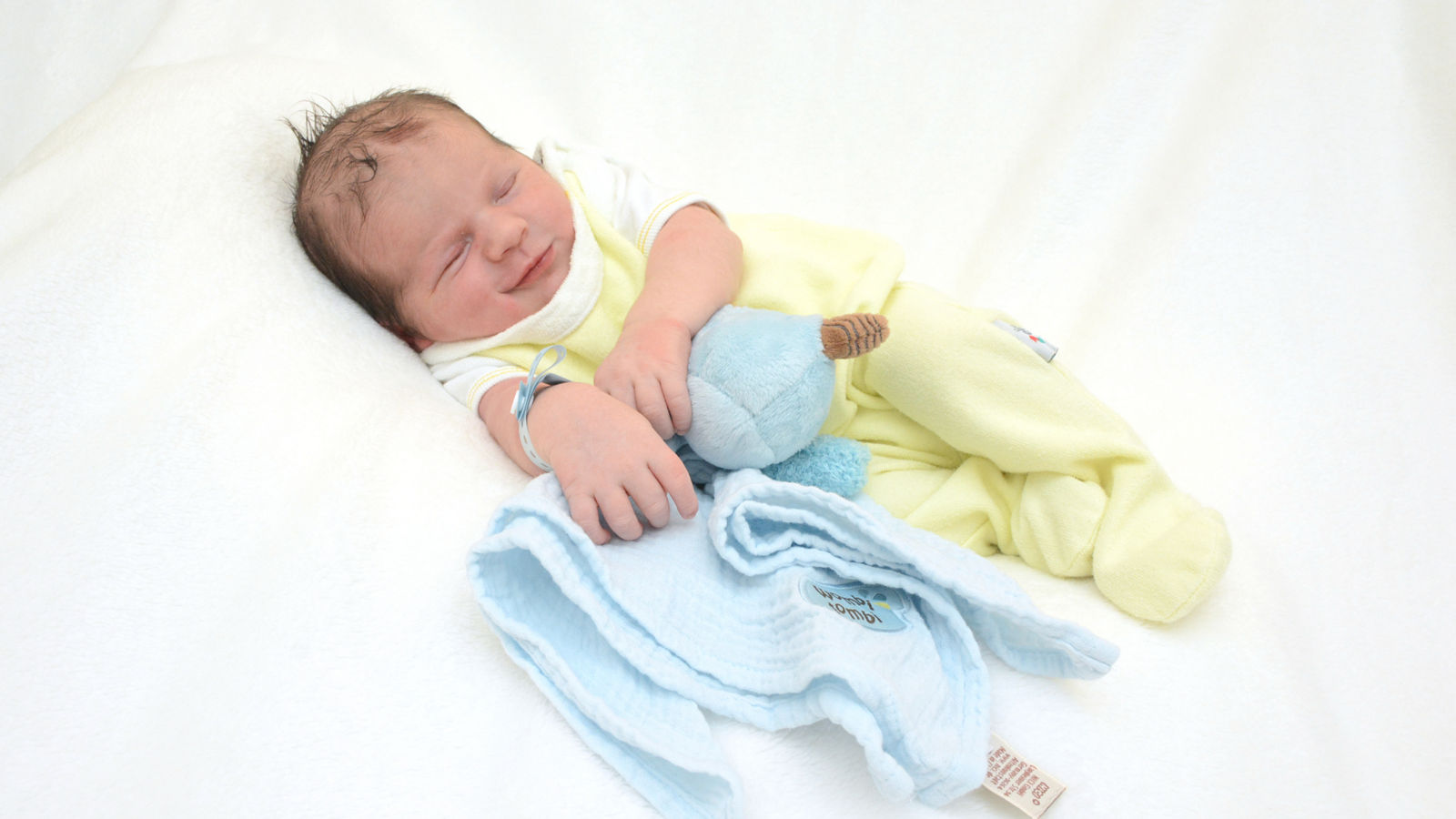 Eddie aus Zerbst erblickt am 14. August 2023 als 200. Geburt in der Helios Klinik Jerichower Land das Licht der Welt