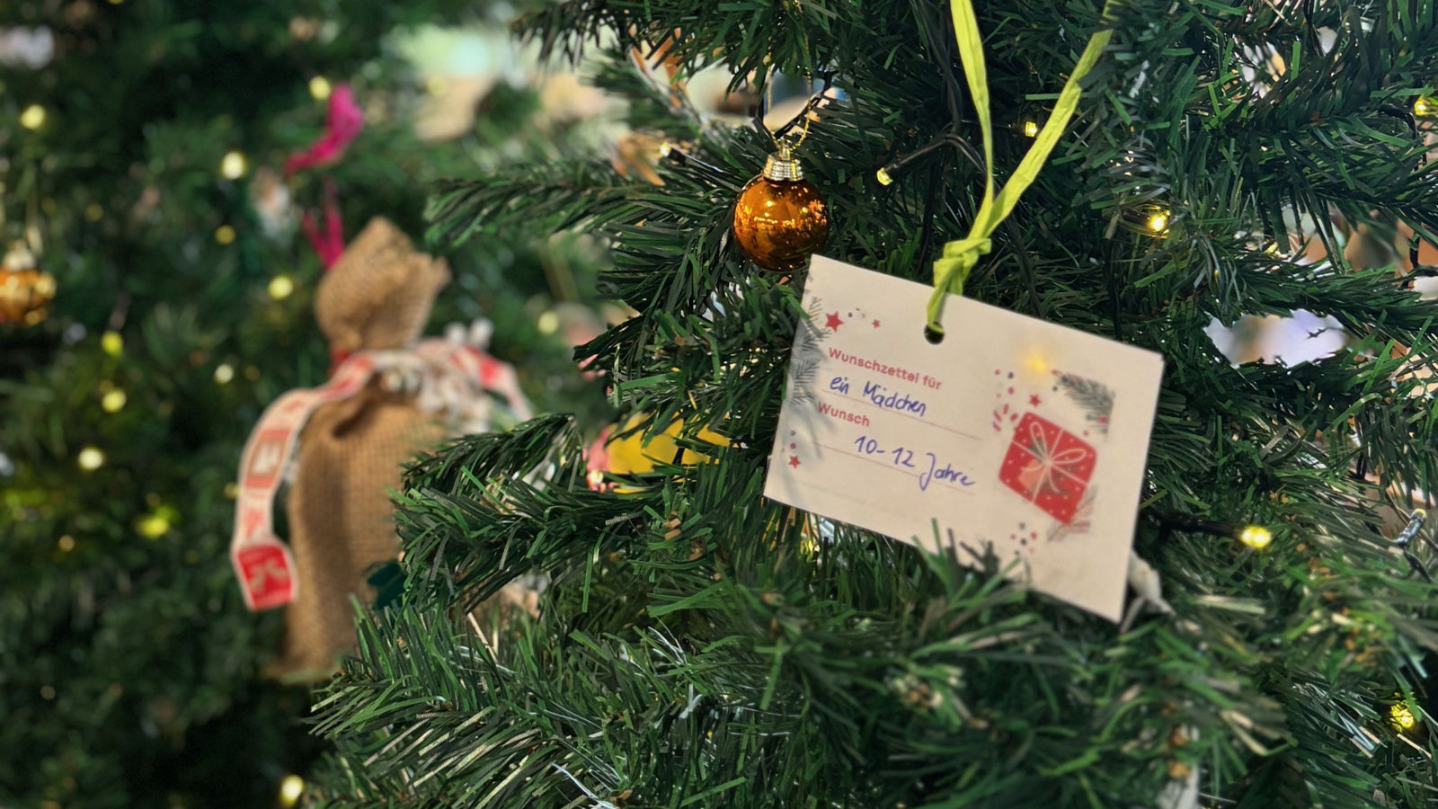 Wunschweihnachtsbaum in der Helios Bördeklinik aufgestellt