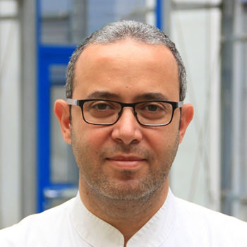 Mohamed Abdel-Wahab