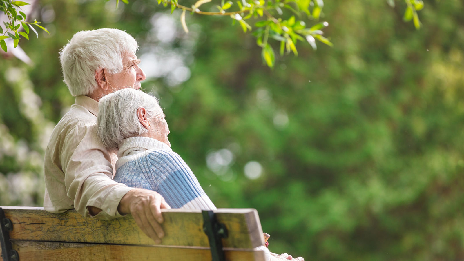 Elderly couple resting on a bench in the park
