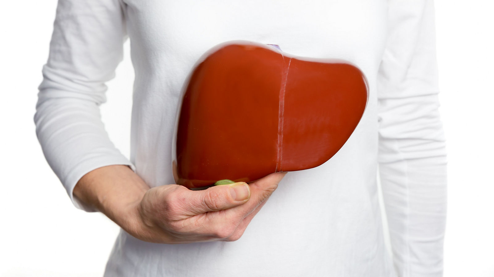 Woman holding human liver model at white body