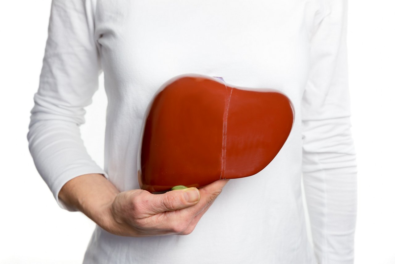 Female person holding red human liver model at white body
