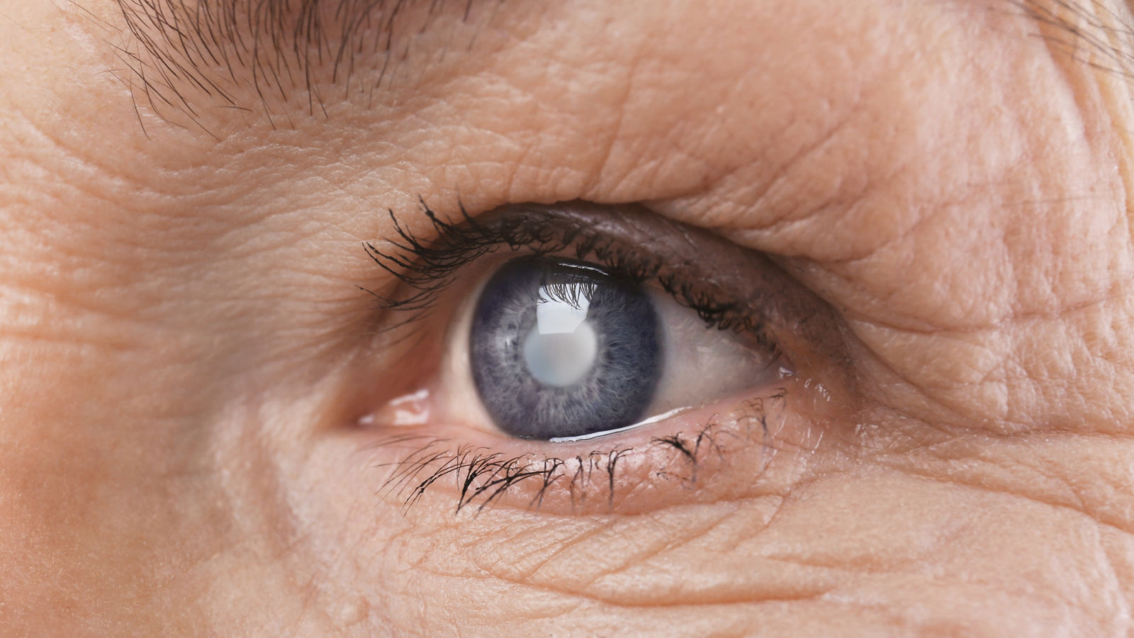 Senior woman face with wrinkles, closeup