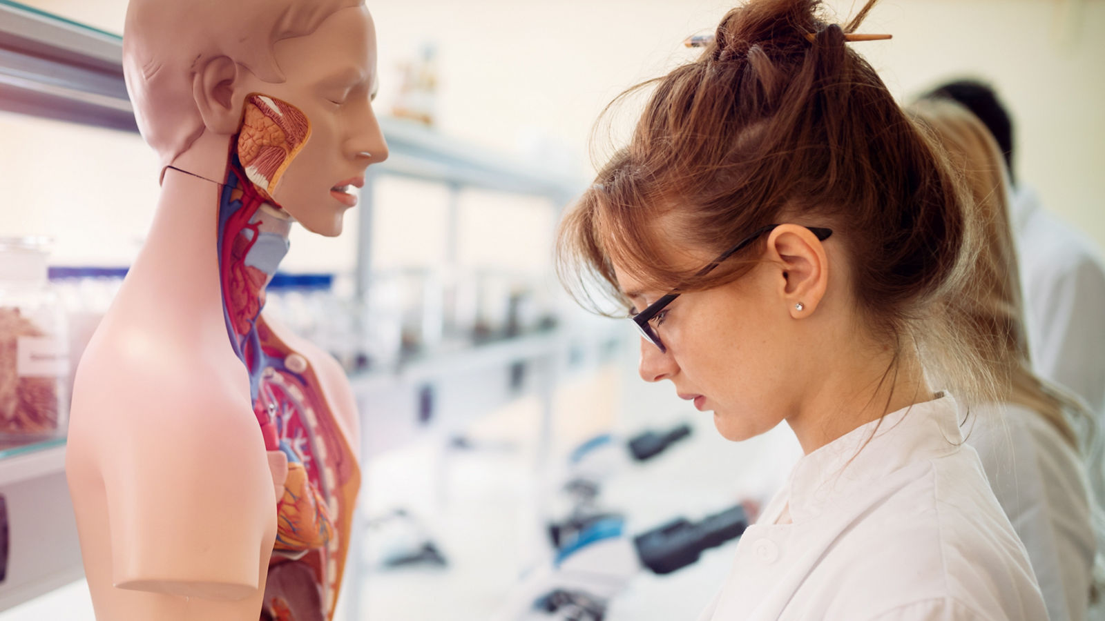 Female student of medicine examining anatomical model in lab