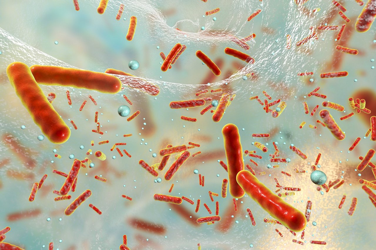 Antibiotikaresistente Bakterien in einem Biofilm, 3D-Illustration