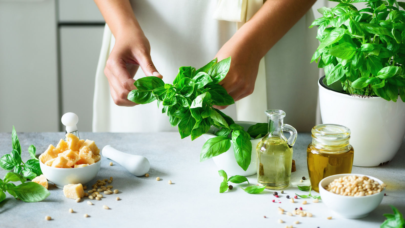 Woman in oversize dress holding pot with fresh organic basil, white kitchen interior design. Copy space. Lifestyle concept