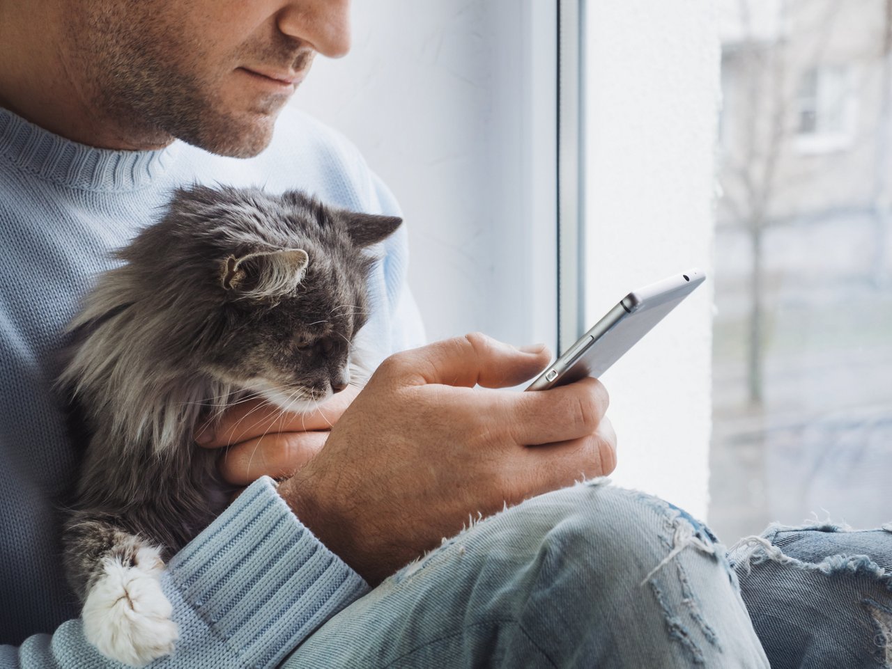 Junger Mann mit Katze im Arm und Handy in der Hand