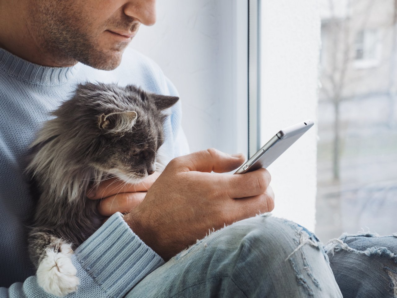 Mann mit Katze und Handy