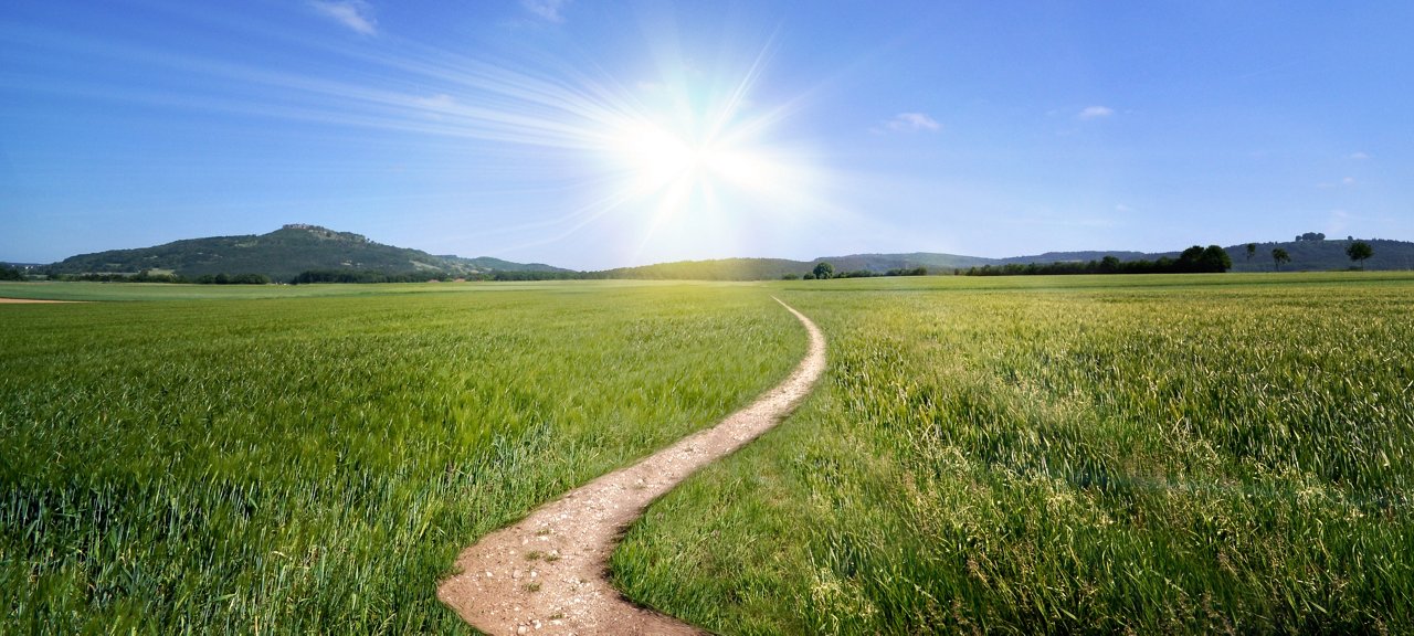 geschwungener Feldweg durch eine grüne Wiese im Hintergrund ein kleiner Berg und Bäume