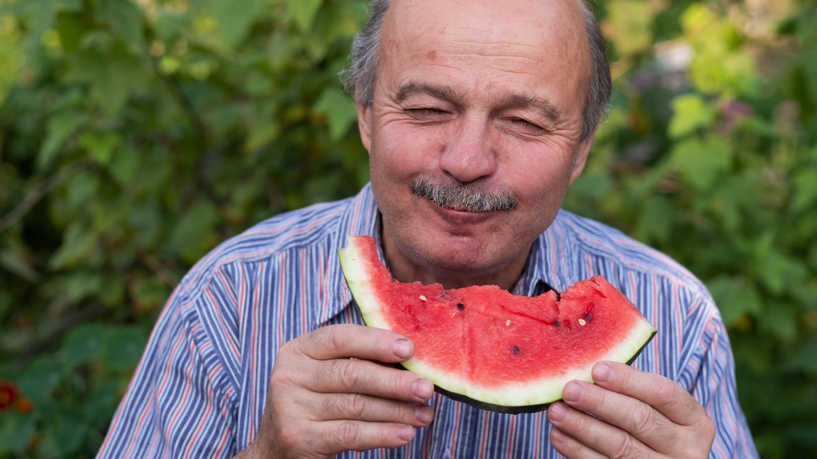 Mature caucasian man with mustache eating juicy water melon with pleasure and smiling.