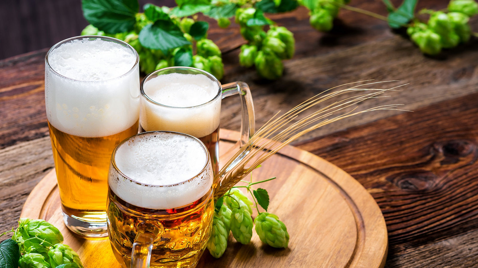 Bier - Alkohol - Spirituosen - Getränk - Hopfen - Gerste - Stutzen- Seidel - Kanne - Glas