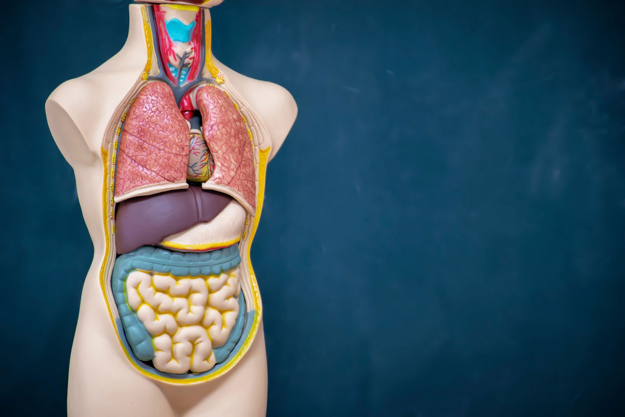 Patientenakademie im Oktober: „Tabuthema Inkontinenz?!  Was hilft wirklich?“ 