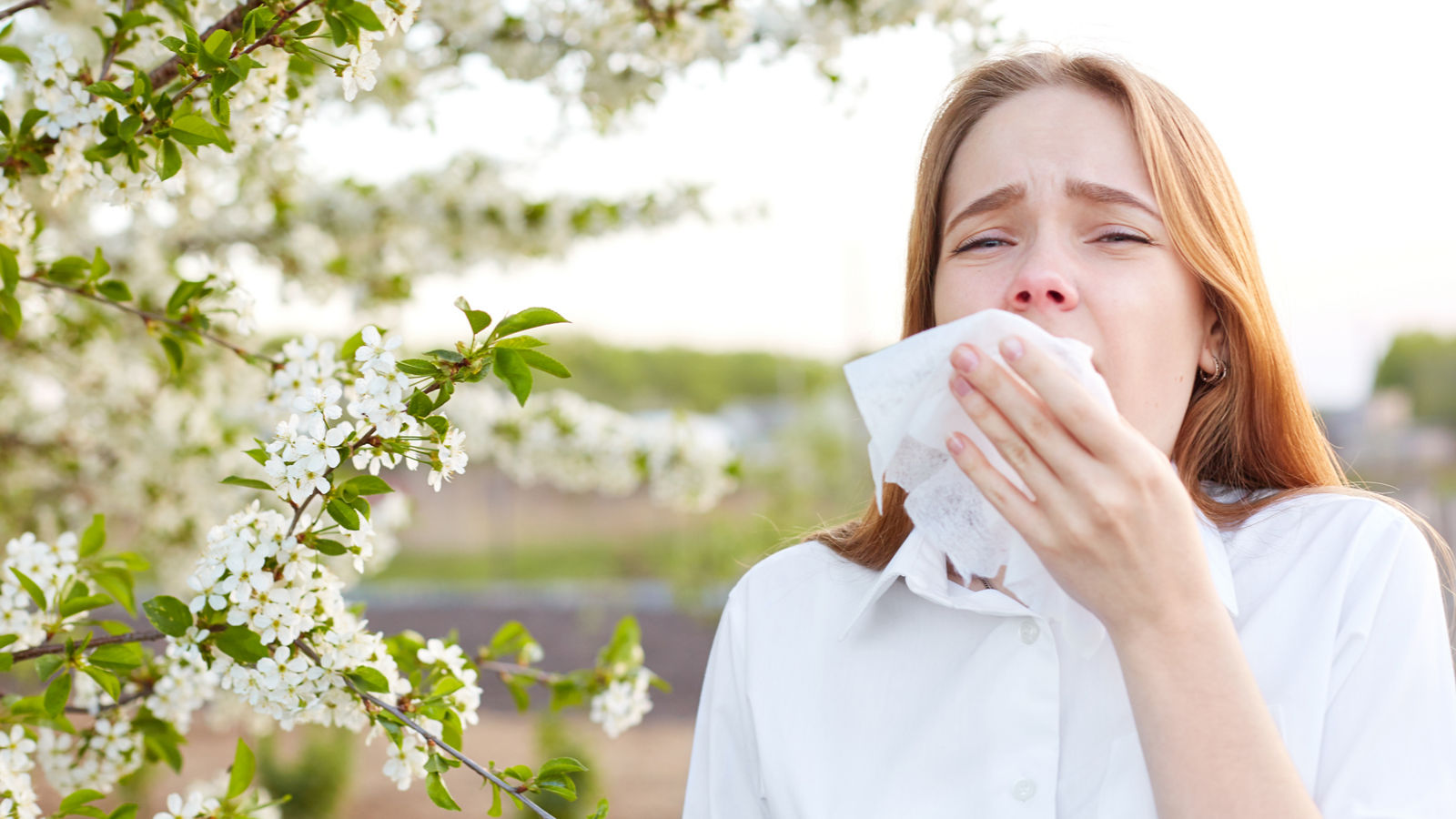 Outdoor shot of displeased Caucasian woman feels allergy, holds white tissuue, stands near tree with blossom, feels unwell, sneezes all time. People and health problems. Spring time. Blooming