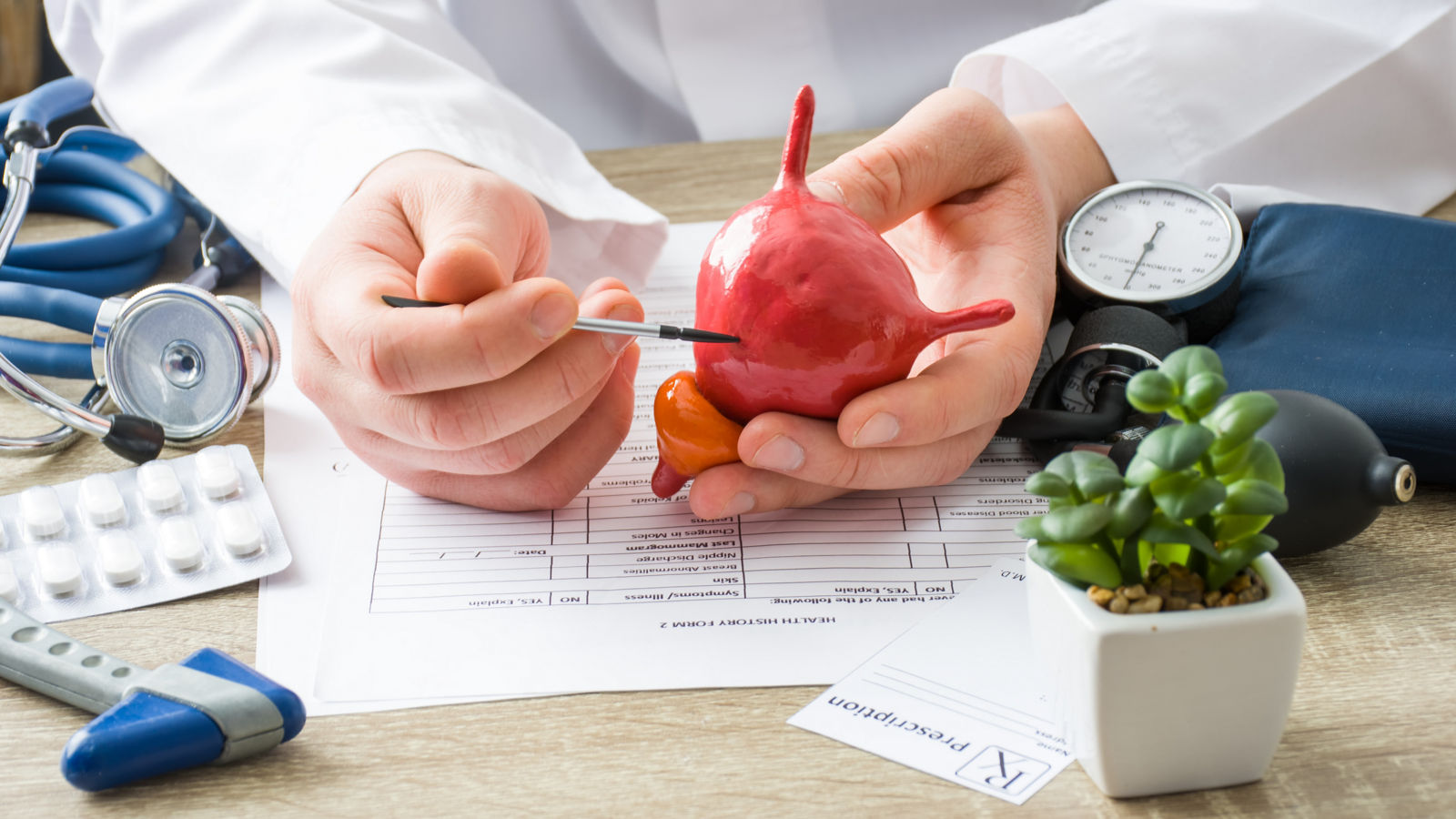 At doctors appointment physician shows to patient shape of urine bladder with focus on hand with organ. Scene explaining patient causes and localization of diseases of bladder and the urinary system