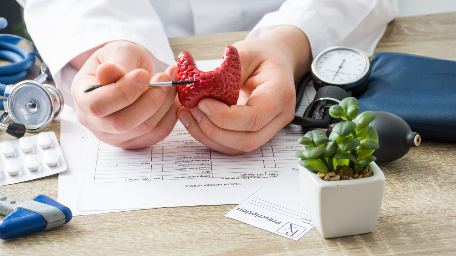 At doctors appointment physician shows to patient shape of thyroid gland with focus on hand with organ. Scene explaining patient causes and localization of diseases of thyroid and endocrine system