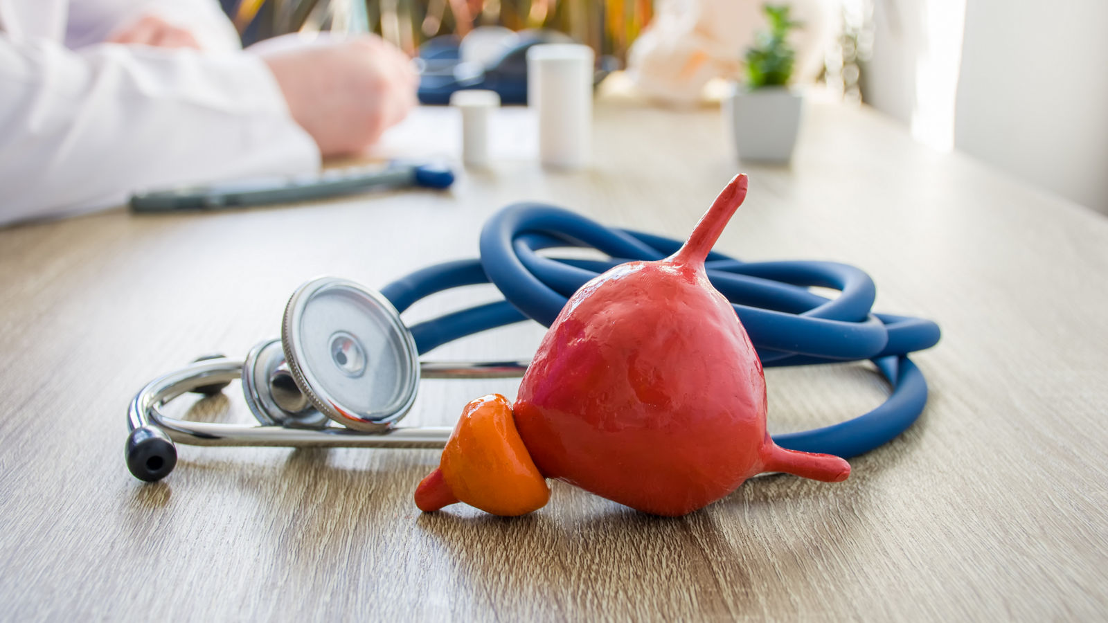 Concept photo of diagnosis and treatment of bladder and prostate. In foreground is model of bladder near stethoscope in background blurred silhouette doctor at table, filling medical documentation,Concept photo of diagnosis and treatment of bladder and prostate