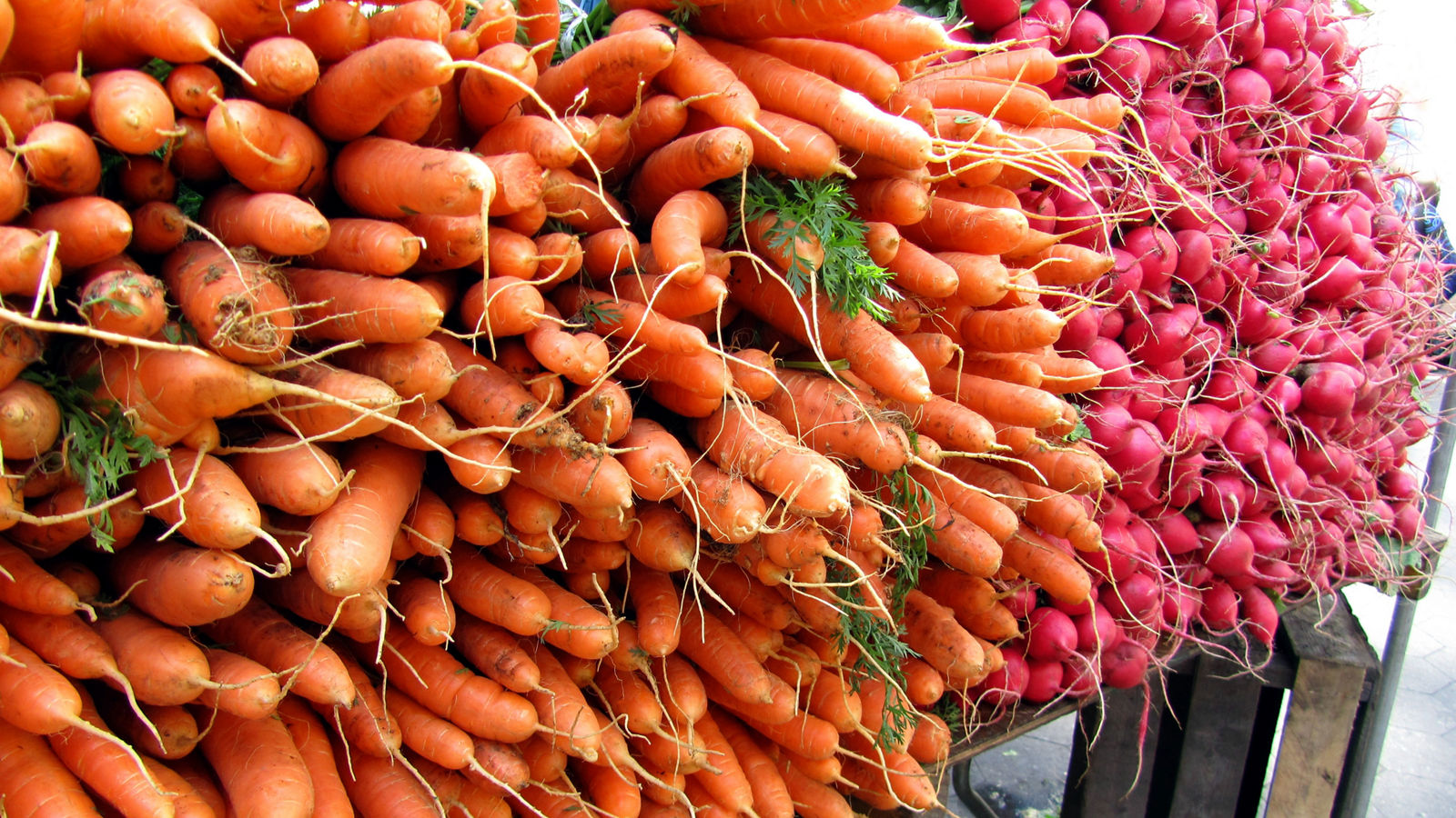 Möhren und Radieschen auf dem Markt