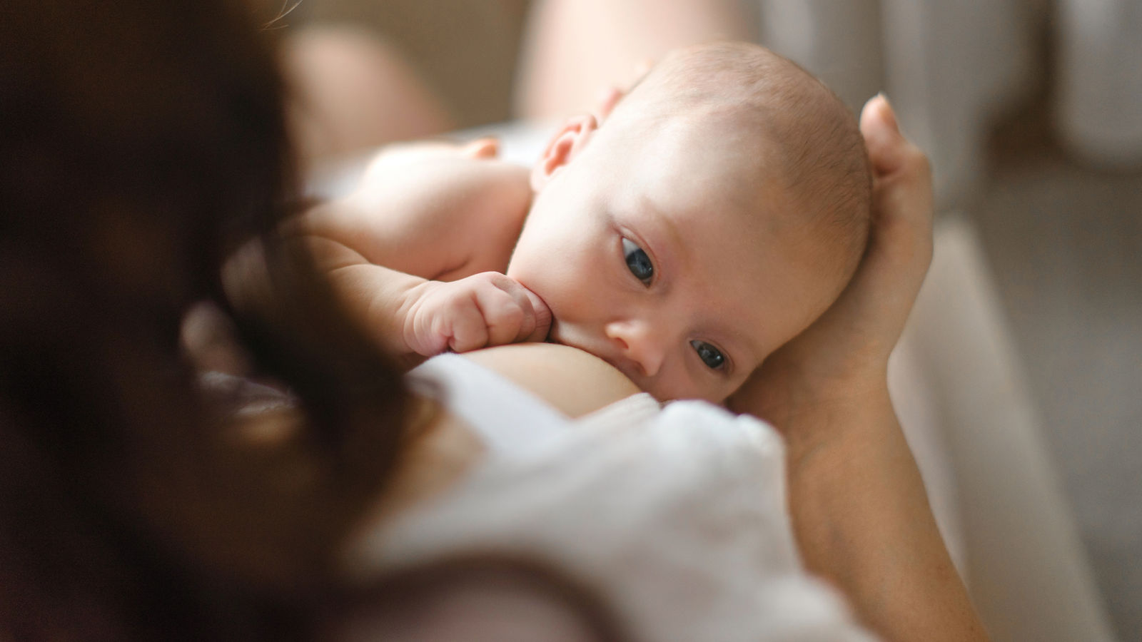 Breast-feeding. Red-haired beautiful mother breastfeeds a newborn baby. Natural looking photos