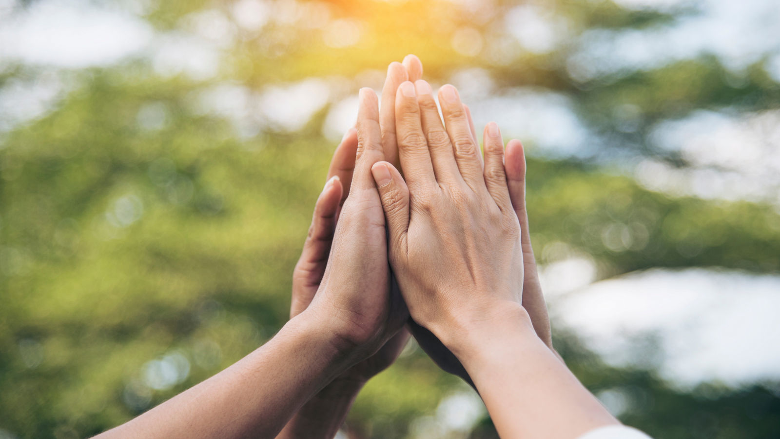 Teamwork high five as team together hands air greeting  power tag team. Group of diversity people multiethnic