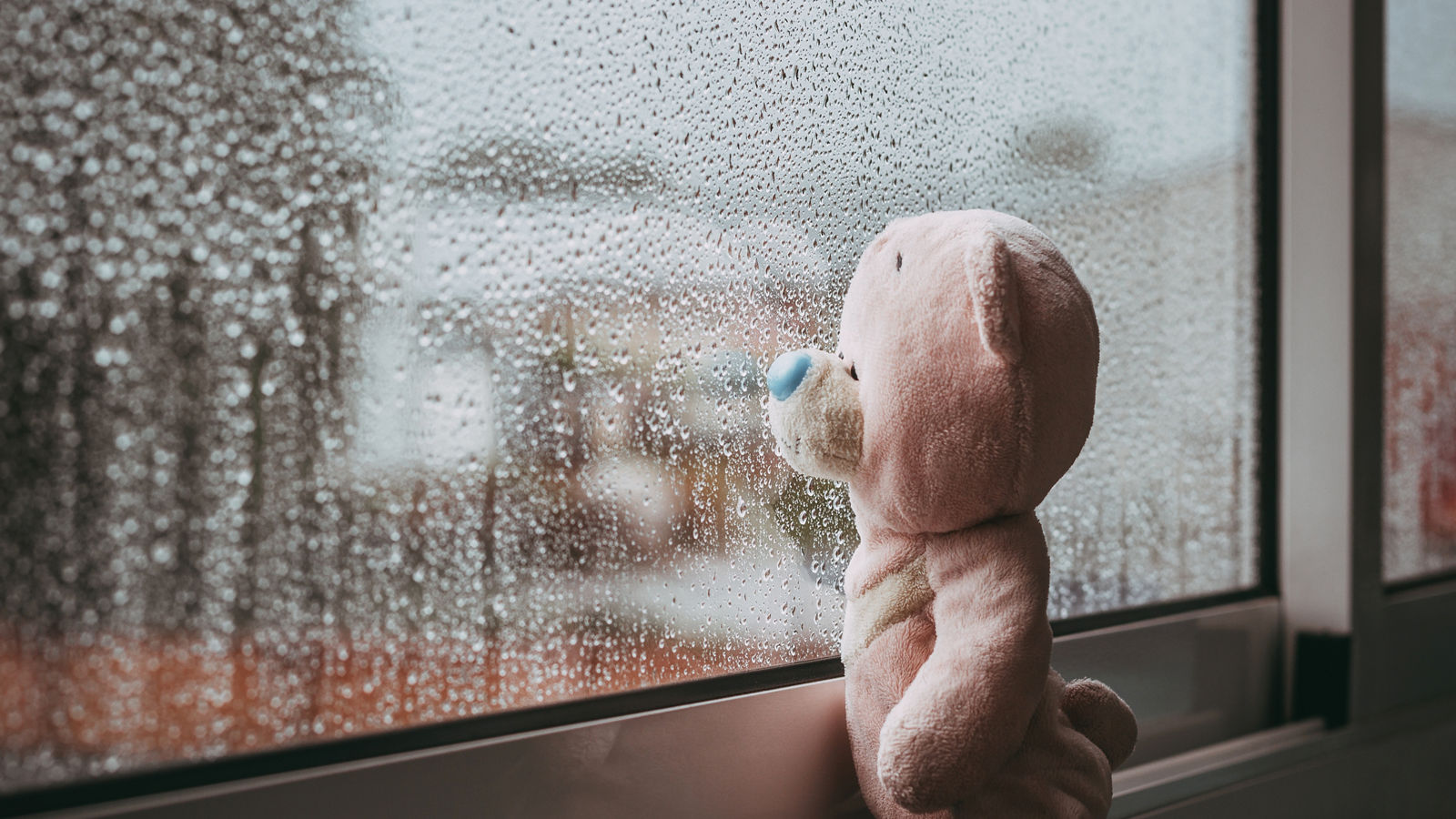 A toy pink sad bear is looking out the window and missing. Autumn rainy day. Raindrops on the window
