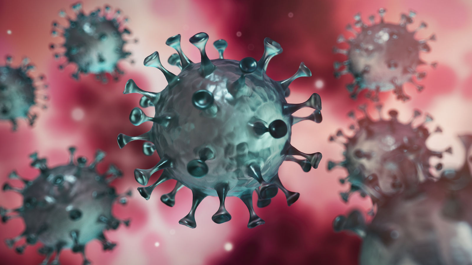 Corona Virus im Inneren des Körpers - Wuhan Virus